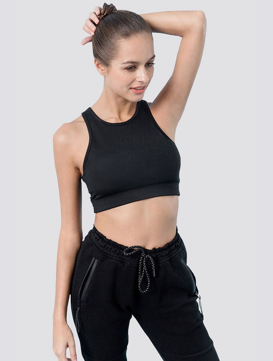 Robyn High Neck Sports Bra